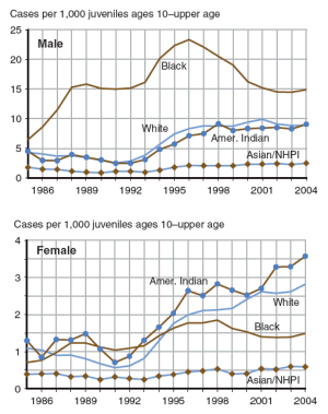 two figures showing drug offense case rates by male and female from 1986 through 2004.