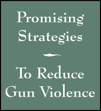 Promising Strategies To Reduce Gun Violence