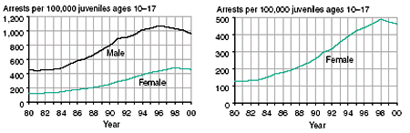 Eight line graphs showing male and female arrests for aggravated assault, other (simple) assault, weapons violations, and drug abuse violations per 100,000 juveniles ages 1017 in 19802000.