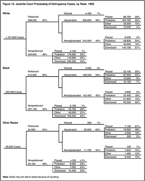 Figure 13: Juvenile Court Processing of Delinquency Cases, by Race, 1995