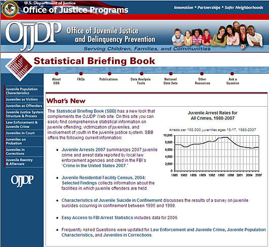 Statistical Briefing Book website screenshot