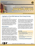 Highlights of the 2009 National Youth Gang Survey