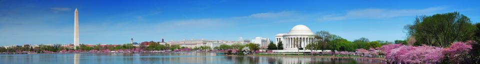 Washington DC Mall (decorative)