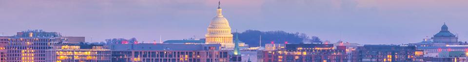 Washington DC Capitol (decorative)