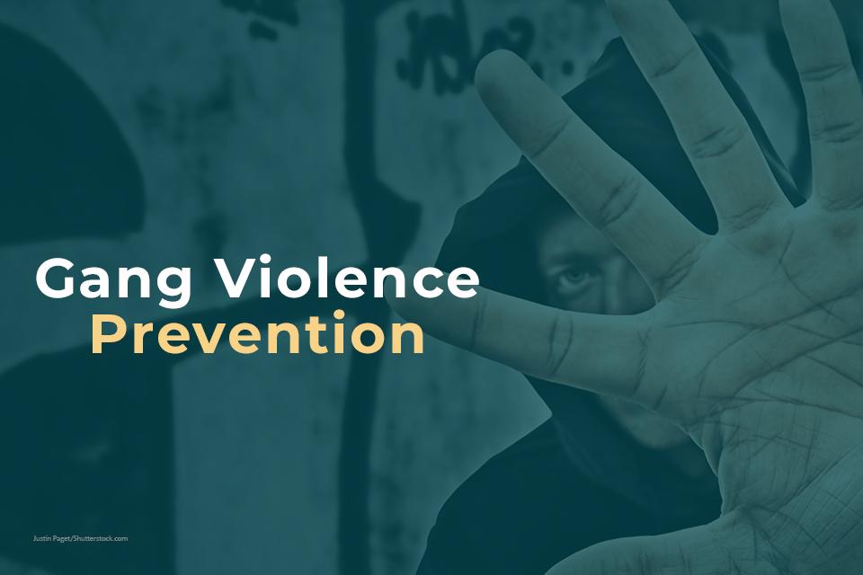 Gang Violence Prevention logo